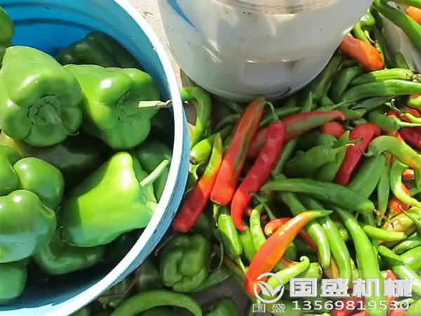 食品殘渣壓榨機(jī) 食品殘渣壓榨機(jī)